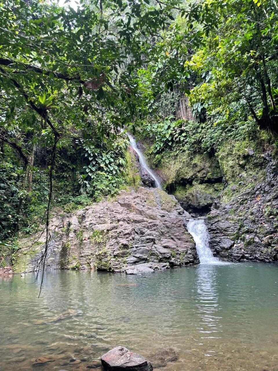 Villa Barthelemy Goyave Exterior photo